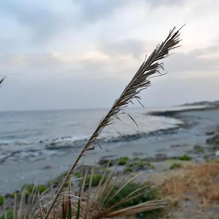 Casa In Pietra Vista Mare Riglia