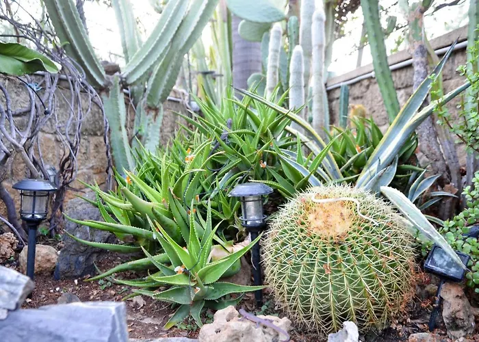 Casa In Pietra Vista Mare * Ρίγκλια