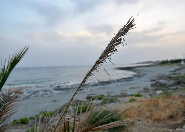 Casa In Pietra Vista Mare Ρίγκλια